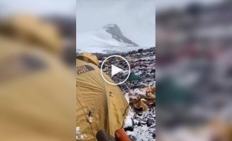 12 тонн фекалий скопилось на Эвересте: туристы продолжают гадить
