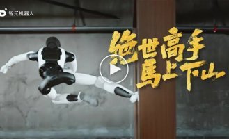 Робот мастер кунг-фу