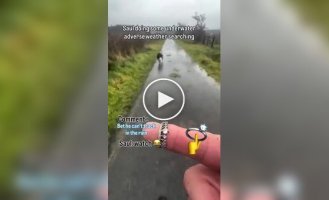 A smart dog tries to find a lost ring