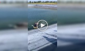 Дикий кабан атаковал мужчин в лодке во время прогулки по водоему