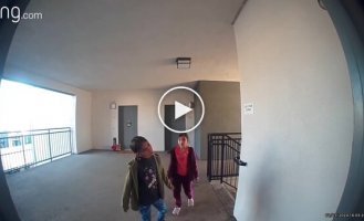 Пришли к соседской собаке — и подняли тревогу
