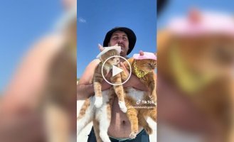 Кошки в шляпках впервые побывали на пляже и увидели море