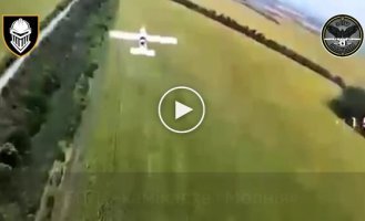 Силы обороны в небе над Харьковщиной уничтожили российские беспилотники, а также ликвидировали оккупантов