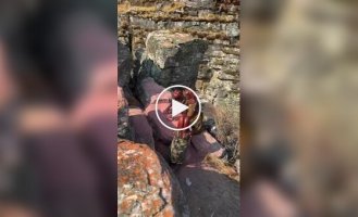 From head to toe: the secrets of beauty and protection of Himba women