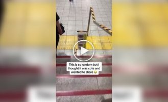 A swallow made a nest in the subway