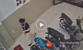 Дівчина не помітила скляні двері і врізалася в неї