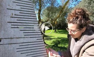 Sardinia - a garden of singing stones