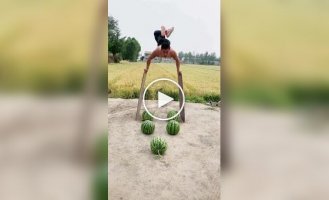 Арбузное кунг-фу