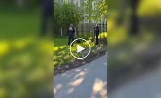 В Риге полицейские задержали бобра за «неправильный отдых»