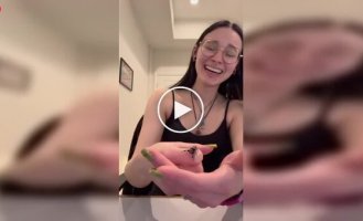 Павук-скакун піднімає лапку при привітанні