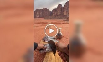 Вкусный обед в пустыне