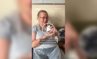 A cat stole a piece of meat from a plate