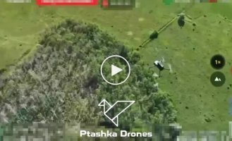 Минус 20 вражеских БПЛА дроны, оснащенные сеткометом, сбивают российские беспилотники