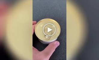 Кот телепортировался на кухню