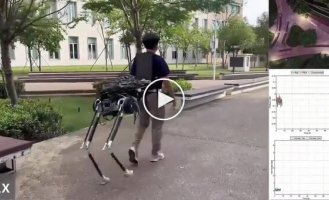 Китайцы представили пристегивающийся экзоскелет