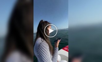 Быстрая доставка напитка взрослым
