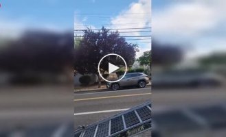 Мотоцикл в прицеп загнать несложно, если знать как
