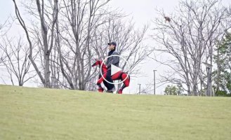 Китайцы сделали роболошадь