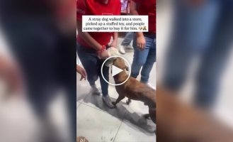 A toy worth fighting for