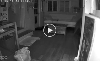 A man came to the aid of an possum