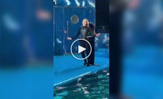 Когда тюленю можно позавидовать