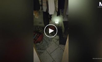 Девочка почти неделю прятала кроликов в шкафу