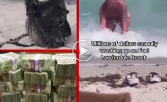 Американец нашел в океане пачки наличных и передал их копам