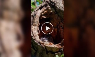 Состояние многих к концу рабочей недели