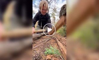 Деревянные техно-рейвы