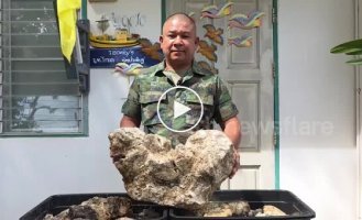 A Thai man sells 55 kilograms of hardened sperm whale vomit