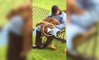 Тихий час в китайском зоопарке