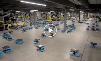 What a workday in an Amazon warehouse looks like