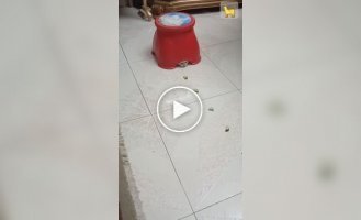 Прототип нового робота-пылесоса