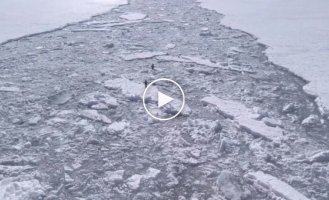 Extreme penguins raced across ice floes