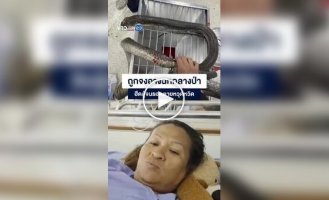 В Таиланде женщина руками поймала напавшую на нее кобру и приехала с ней в больницу