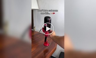 Боксерская груша для котов