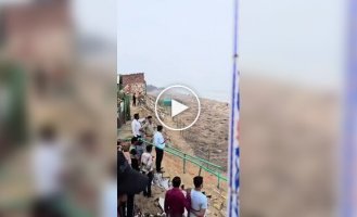 Mass nesting of sea turtles in Odisha, India