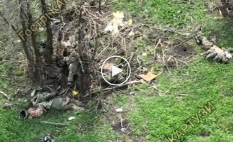 Оккупант пытается спрятаться от дрона за деревом вокруг которого валяются тела пяти его сообщников