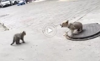 Smart beyond his years