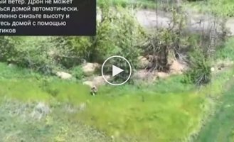 Two occupiers who ran out of the forest belt are hit by a cluster munition