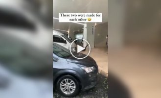 Идеальная парочка