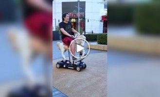 An engineer recreated several absurd objects from neural network videos in reality