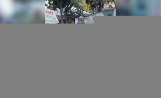 В Турции к пожилому чистильщику обуви каждое утро приходит кот