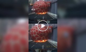 Надувной жираф перекрыл тоннель в Китае