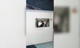 Житель Китая превратил друзей в питомцев на рабочем столе