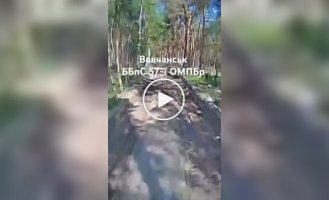 A Ukrainian kamikaze drone meanders through the forest thickets towards a Russian tank