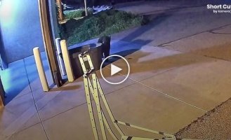 Медведь украл сумку с пожарным снаряжением