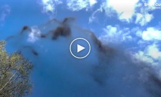 Необычное брачное поведение комаров в полете