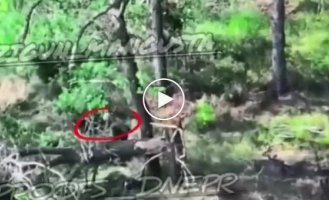 An occupier shoots down a Ukrainian drone with a rifle butt and disappears in a cloud of smoke and fire