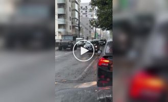 A family of capybaras crosses the road